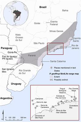 Assessing the Extinction Probability of the Purple-winged Ground Dove, an Enigmatic Bamboo Specialist